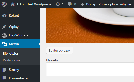 Szczegóły zdjęcia w WordPressie