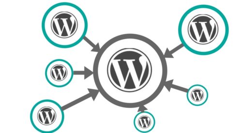 multisite w WordPressie, multisite, WordPress, strony WWW