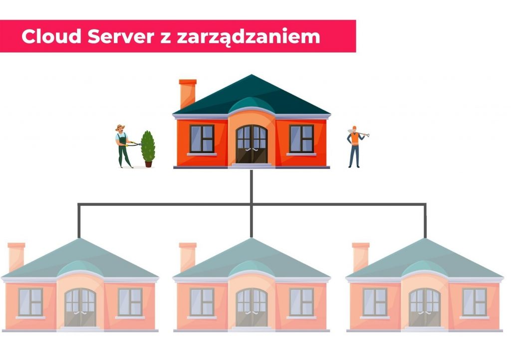 Jak działa Cloud Server?