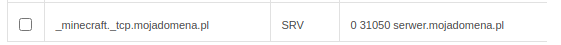 Widoczność rekordu SRV skonfigurowanego pod serwer minecraft.