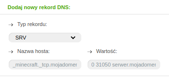 Dodanie rekordu SRV pod serwer minecraft