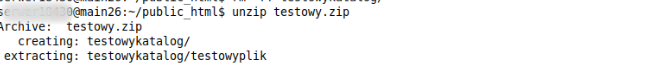 Jak rozpakować plik ZIP na serwerze za pomocą SSH w systemie linux?