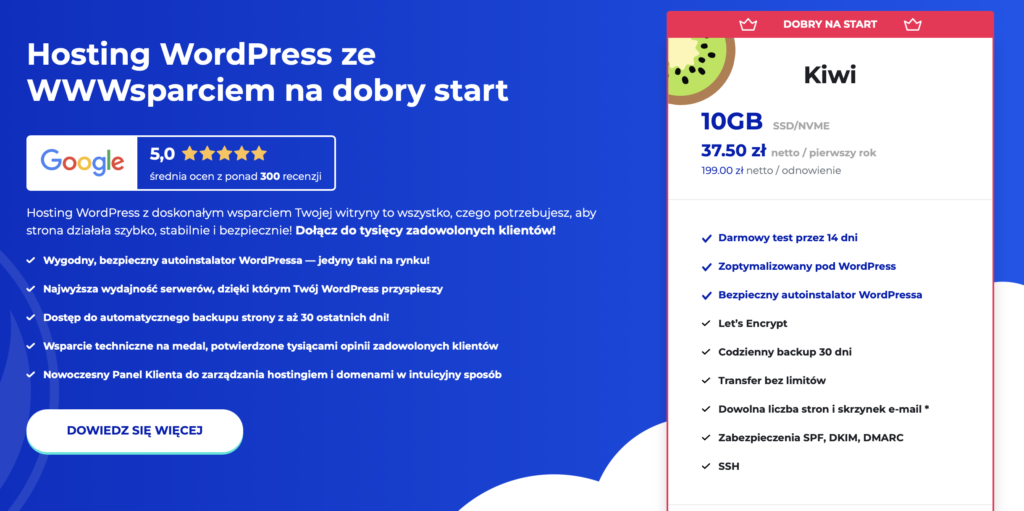 Hosting WordPress ze wsparciem na start - Lh.pl