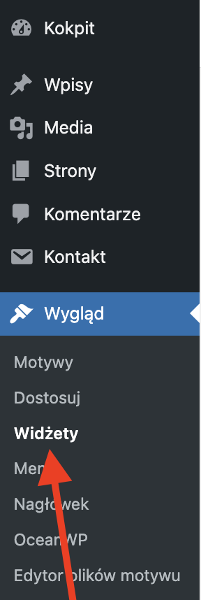 Widok menu WordPressa ze wskazaną pozycją Widżety